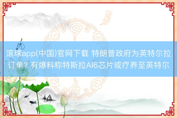 滚球app(中国)官网下载 特朗普政府为英特尔拉订单? 有爆料称特斯拉AI6芯片或疗养至英特尔