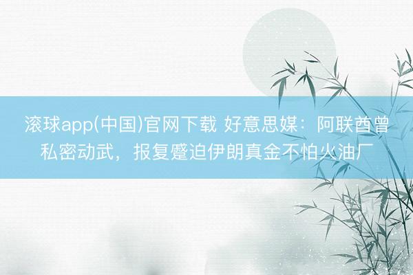 滚球app(中国)官网下载 好意思媒：阿联酋曾私密动武，报复蹙迫伊朗真金不怕火油厂