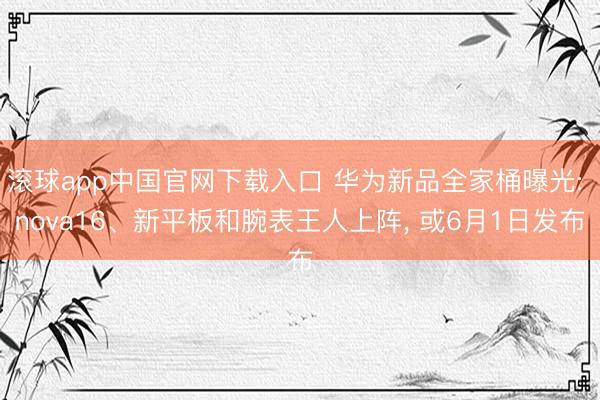 滚球app中国官网下载入口 华为新品全家桶曝光: nova16、新平板和腕表王人上阵， 或6月1日发布