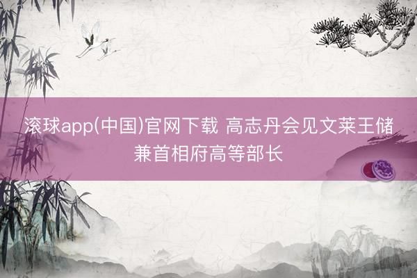 滚球app(中国)官网下载 高志丹会见文莱王储兼首相府高等部长