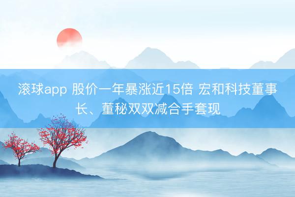 滚球app 股价一年暴涨近15倍 宏和科技董事长、董秘双双减合手套现