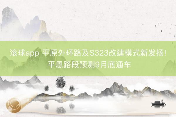 滚球app 平原外环路及S323改建模式新发扬! 平恩路段预测9月底通车