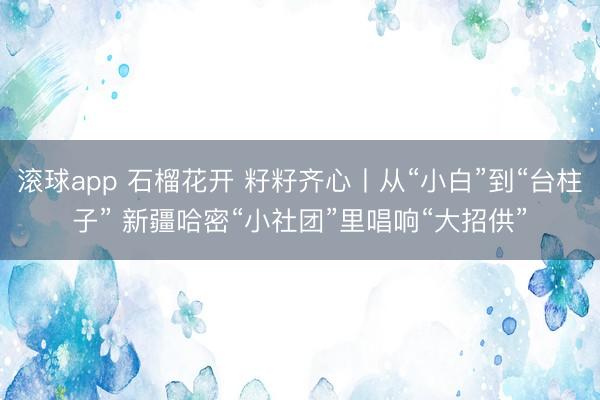 滚球app 石榴花开 籽籽齐心丨从“小白”到“台柱子” 新疆哈密“小社团”里唱响“大招供”