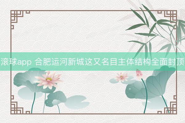 滚球app 合肥运河新城这又名目主体结构全面封顶