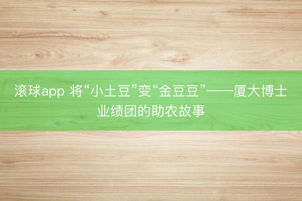 滚球app 将“小土豆”变“金豆豆”——厦大博士业绩团的助农故事