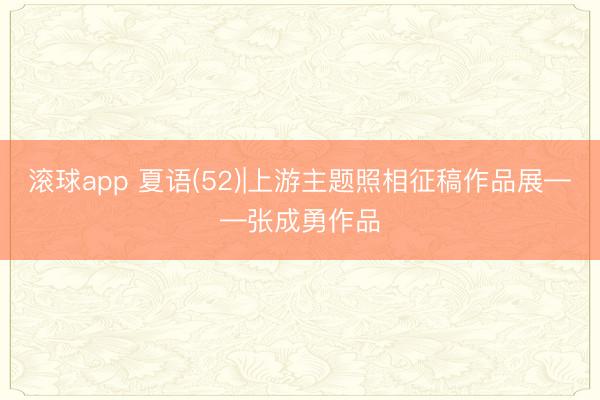 滚球app 夏语(52)|上游主题照相征稿作品展——张成勇作品