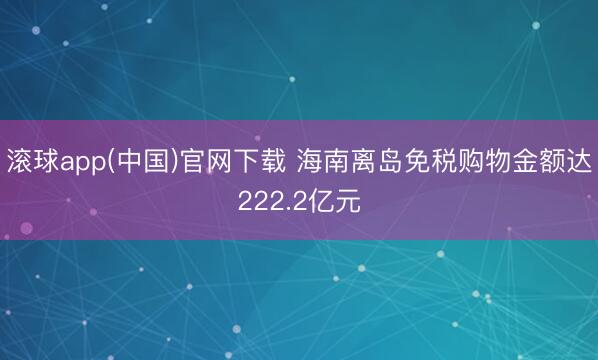 滚球app(中国)官网下载 海南离岛免税购物金额达222.2亿元