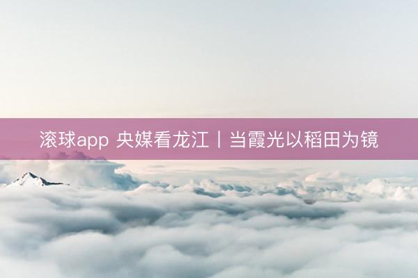 滚球app 央媒看龙江丨当霞光以稻田为镜