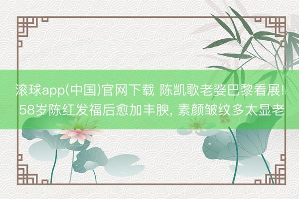 滚球app(中国)官网下载 陈凯歌老婆巴黎看展! 58岁陈红发福后愈加丰腴，<a href=