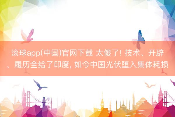 滚球app(中国)官网下载 太傻了! 技术、开辟、履历全给了印度， 如今中国光伏堕入集体耗损