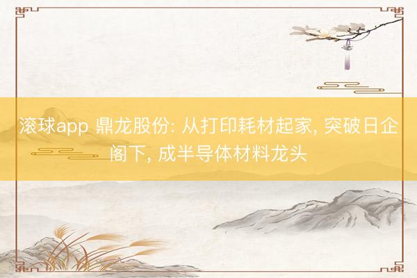 滚球app 鼎龙股份: 从打印耗材起家， 突破日企阁下， 成半导体材料龙头