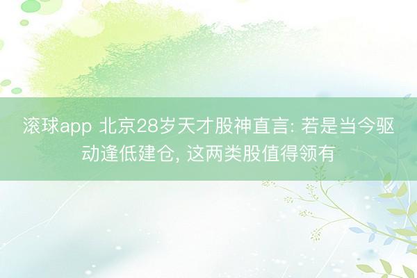 滚球app 北京28岁天才股神直言: 若是当今驱动逢低建仓， 这两类股值得领有