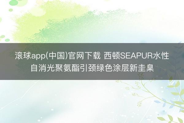 滚球app(中国)官网下载 西顿SEAPUR水性自消光聚氨酯引颈绿色涂层新圭臬