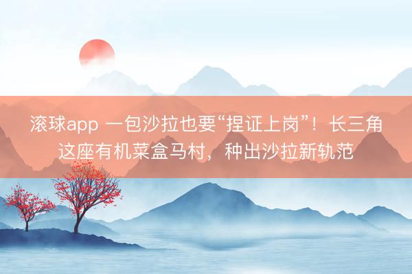 滚球app 一包沙拉也要“捏证上岗”！长三角这座有机菜盒马村，种出沙拉新轨范