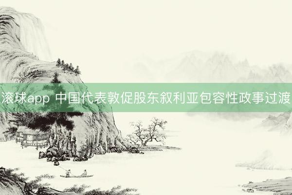 滚球app 中国代表敦促股东叙利亚包容性政事过渡
