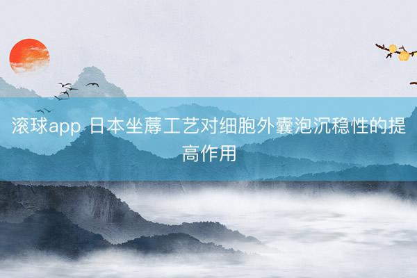 滚球app 日本坐蓐工艺对细胞外囊泡沉稳性的提高作用