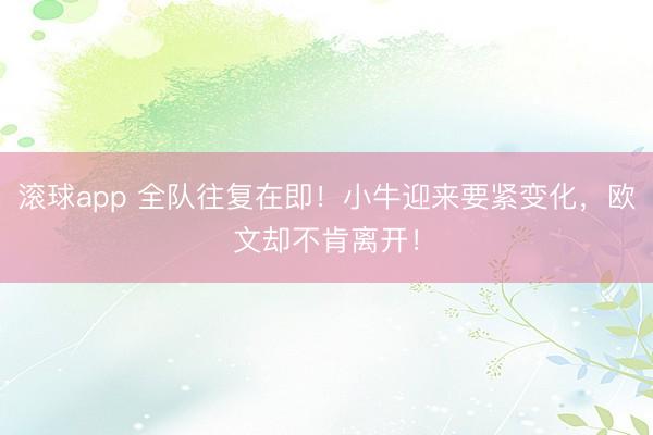 滚球app 全队往复在即！小牛迎来要紧变化，欧文却不肯离开！