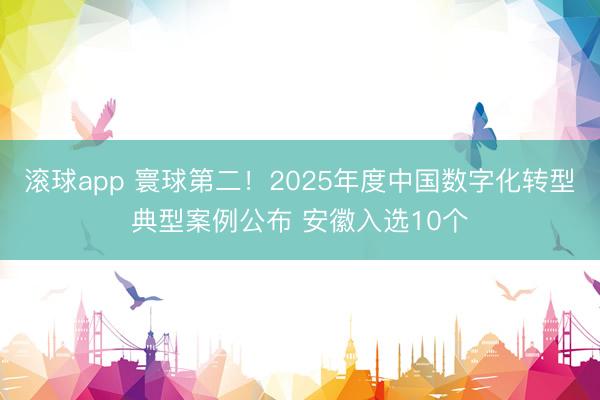 滚球app 寰球第二！2025年度中国数字化转型典型案例公布 安徽入选10个