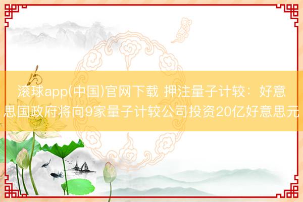 滚球app(中国)官网下载 押注量子计较：好意思国政府将向9家量子计较公司投资20亿好意思元