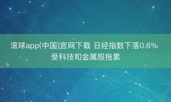 滚球app(中国)官网下载 日经指数下落0.6% 受科技和金属股拖累