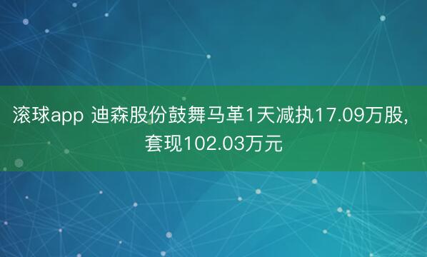 滚球app 迪森股份鼓舞马革1天减执17.09万股， 套现102.03万元