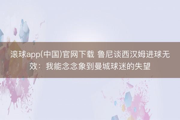 滚球app(中国)官网下载 鲁尼谈西汉姆进球无效：我能念念象