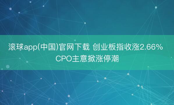 滚球app(中国)官网下载 创业板指收涨2.66% CPO主意掀涨停潮