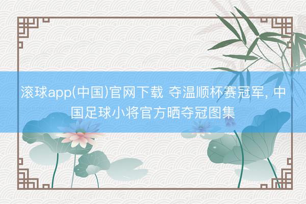 滚球app(中国)官网下载 夺温顺杯赛冠军， 中国足球小将官方晒夺冠图集