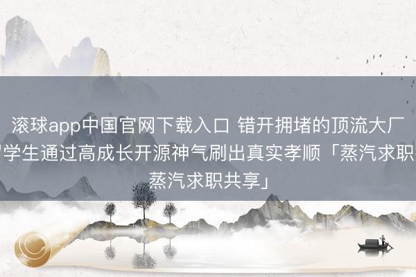滚球app中国官网下载入口 错开拥堵的顶流大厂: IT留学生通过高成长开源神气刷出真实孝顺「蒸汽求职共享」