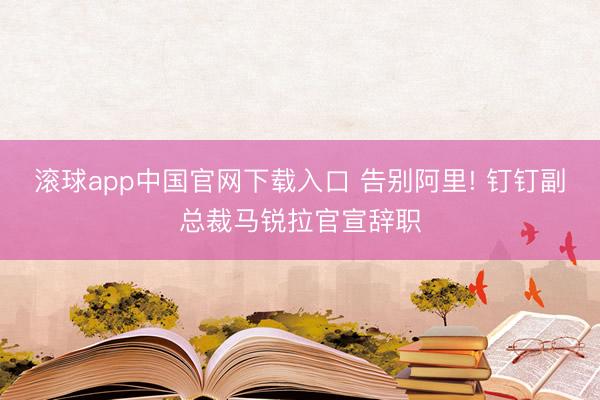 滚球app中国官网下载入口 告别阿里! 钉钉副总裁马锐拉官宣辞职