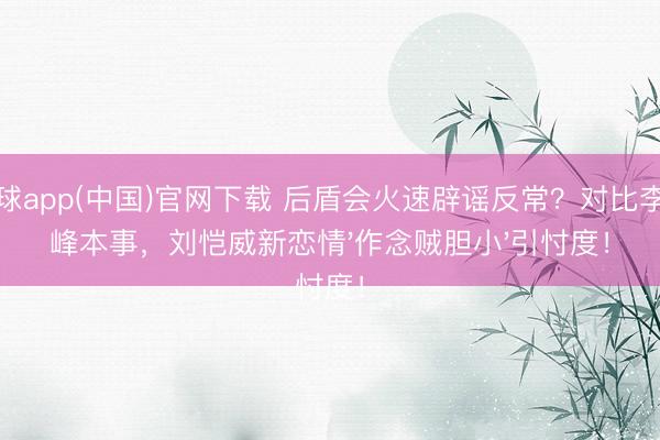 滚球app(中国)官网下载 后盾会火速辟谣反常？对比李晓峰本事，刘恺威新恋情'作念贼胆小'引忖度！
