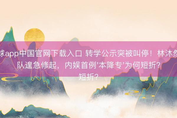 滚球app中国官网下载入口 转学公示突被叫停！林沐然团队遑急修起，内娱首例'本降专'为何短折？