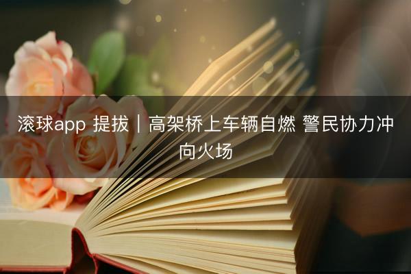 滚球app 提拔｜高架桥上车辆自燃 警民协力冲向火场