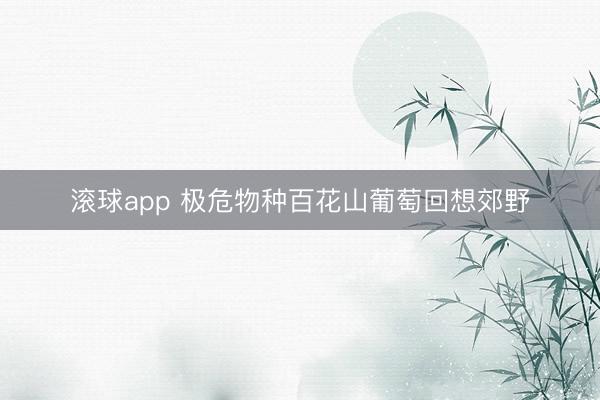 滚球app 极危物种百花山葡萄回想郊野