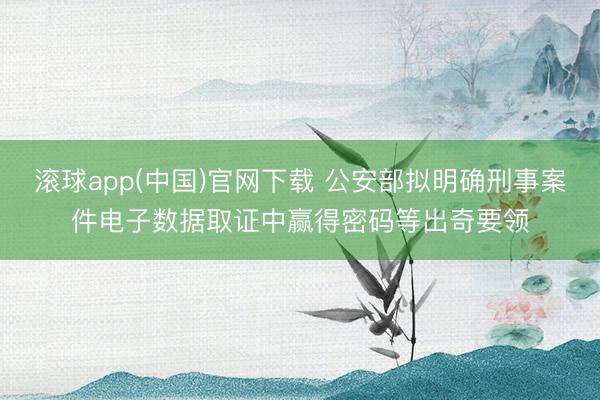 滚球app(中国)官网下载 公安部拟明确刑事案件电子数据取证中赢得密码等出奇要领