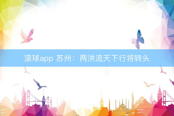 滚球app 苏州:两洪流天下行将转头